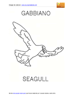 Seagull