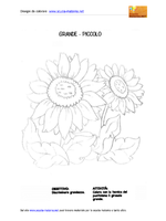 Grande piccolo girasole