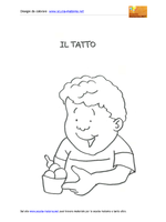 Il tatto